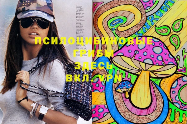 соль ск Богданович