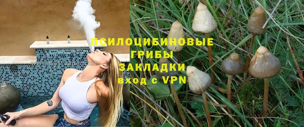 соль ск Богданович