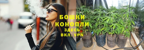 соль ск Богданович