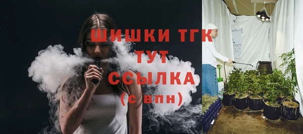 соль ск Богданович