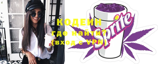 соль ск Богданович