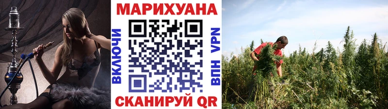 купить наркотики сайты  Кемерово  Канабис план 